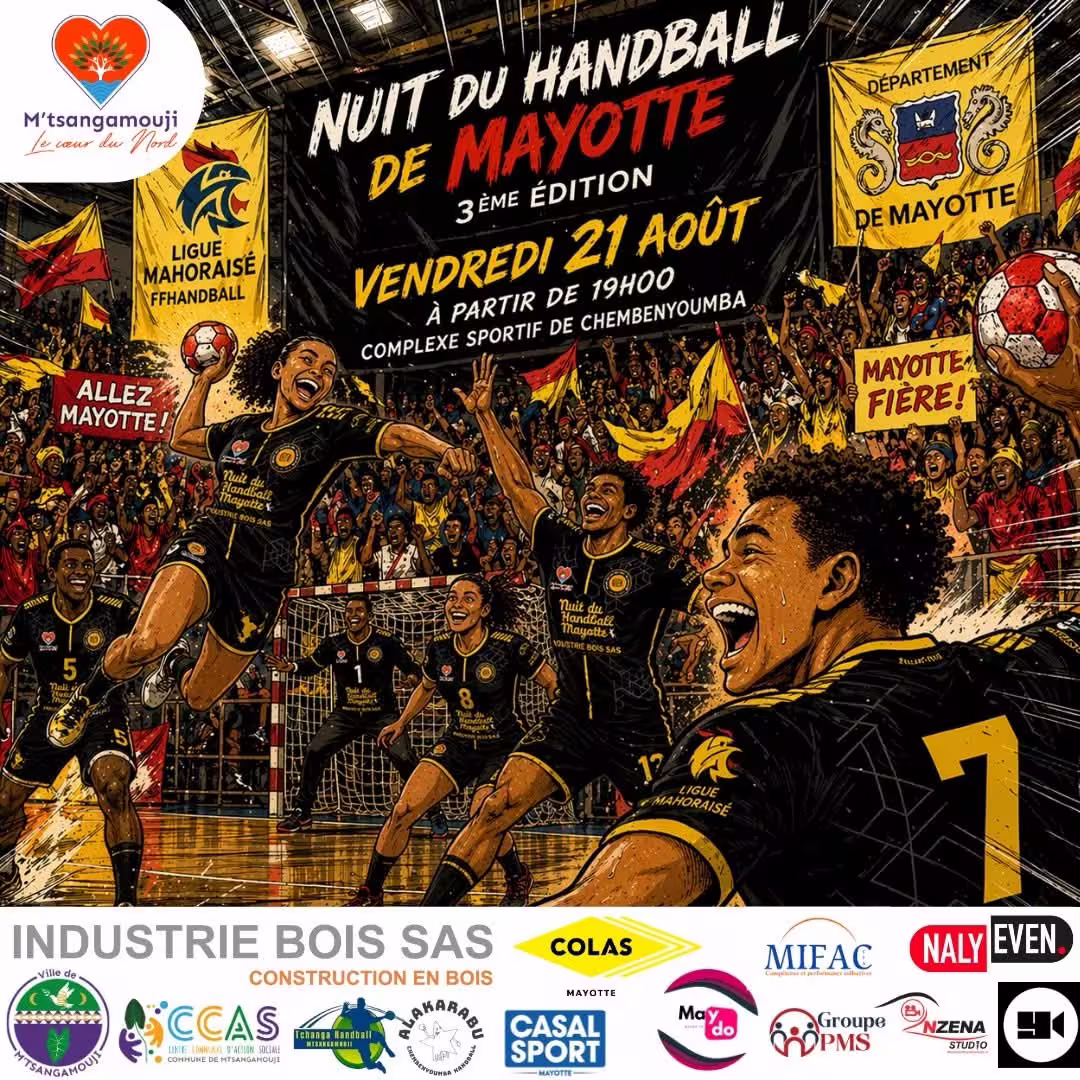 Affiche de La Nuit du Handball 3